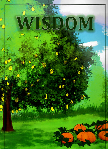 Wisdom
