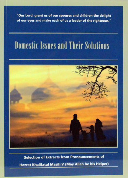 Domestic Issues and Their Solutions